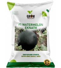 Watermelon F1 Eknath 10 grams